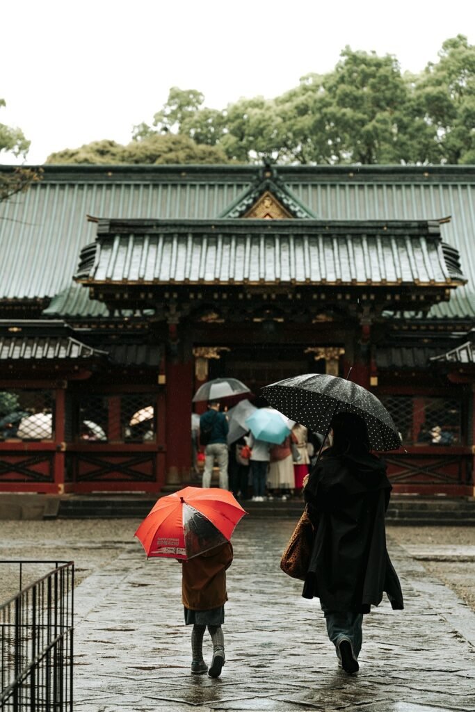 rain, tree, temple